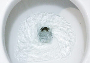 toilet flushing